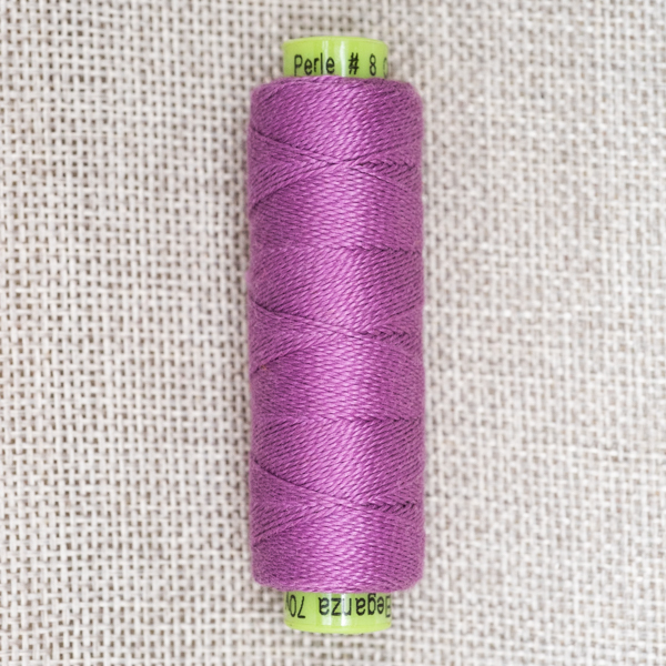 African Violet - ez026