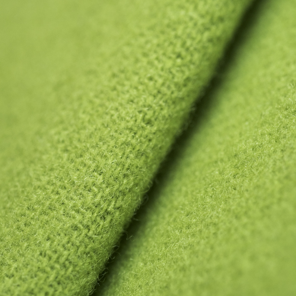 Electric Lime LN13