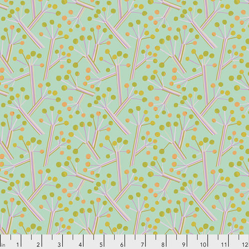 Bush Lily-Mint