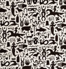 Black & White - Folktale