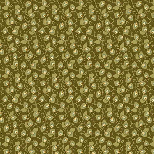 Vine - Olive