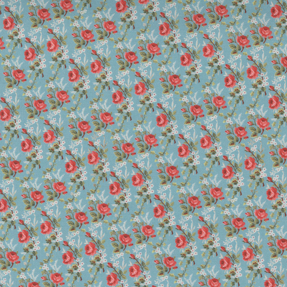 Tiny Roses Tran