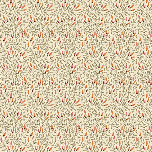 Reed - Coral