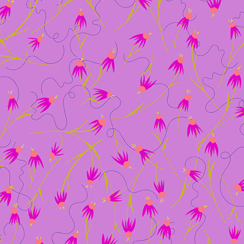 Coneflower - Lilac