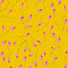 Coneflower - Sunshine