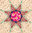 Trade Winds Block of the month kit - SOLD OUT
