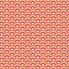 Rainforest Rainbow - Razzle Dazzle