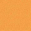 Dry Flowers - Orange