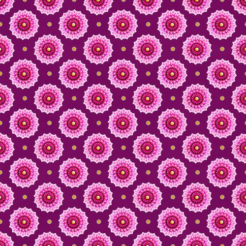 Dahlias - Berry