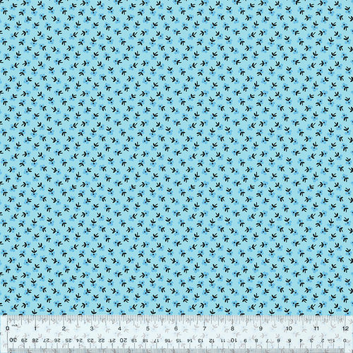 Calico - Aqua