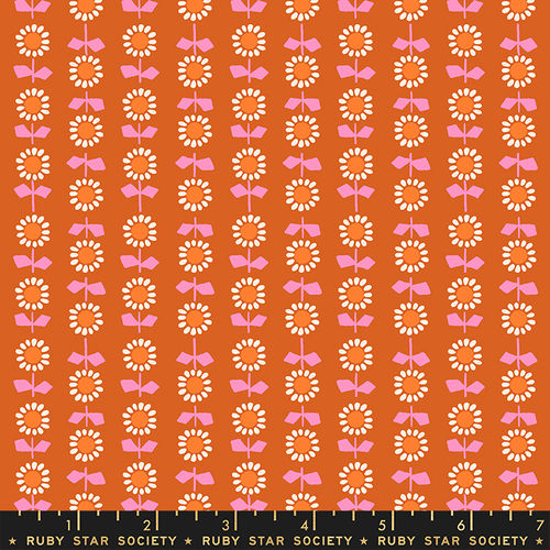 Pecan - Orange