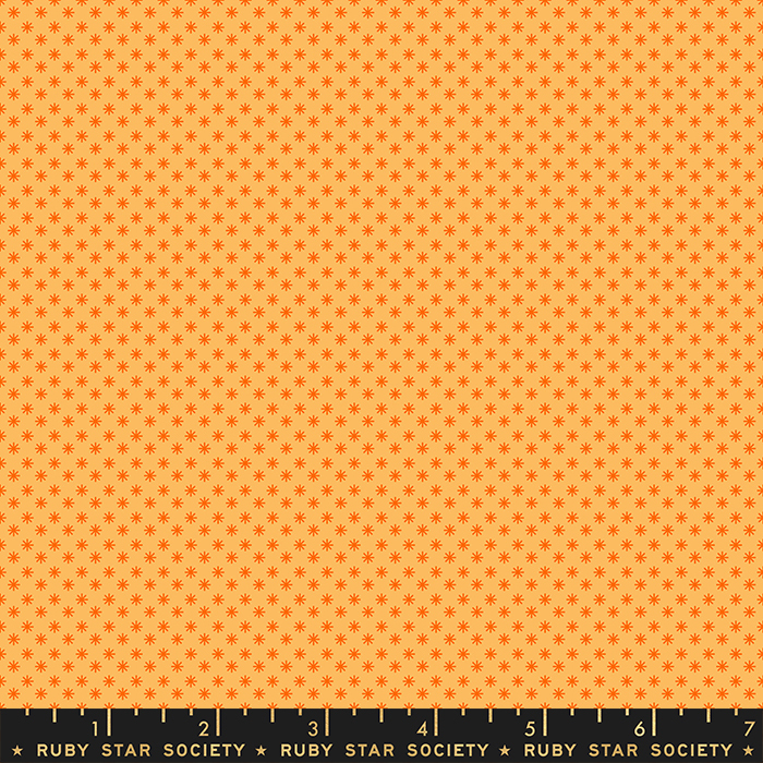 Cantaloupe - Orange