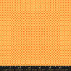 Cantaloupe - Orange