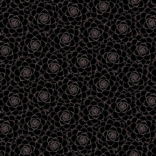Roses - Black