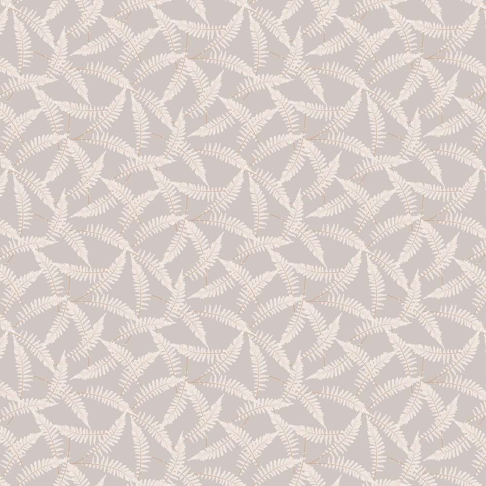 Ferns - Gray