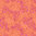 Rose Bloom - Coral