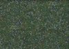 Seashell Dreaming - Green