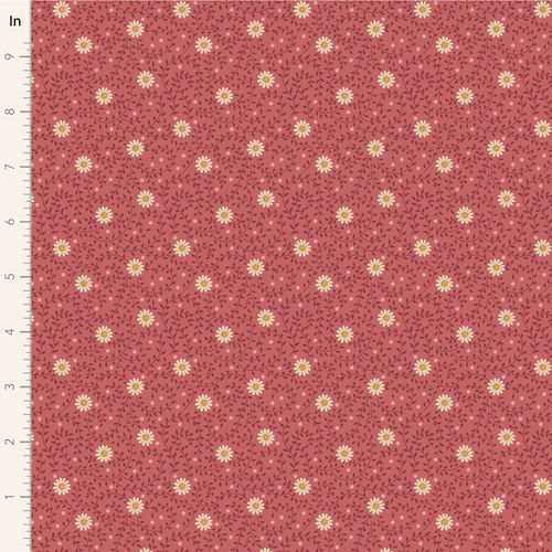 Daisydream - Rhubarb