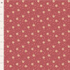 Daisydream - Rhubarb