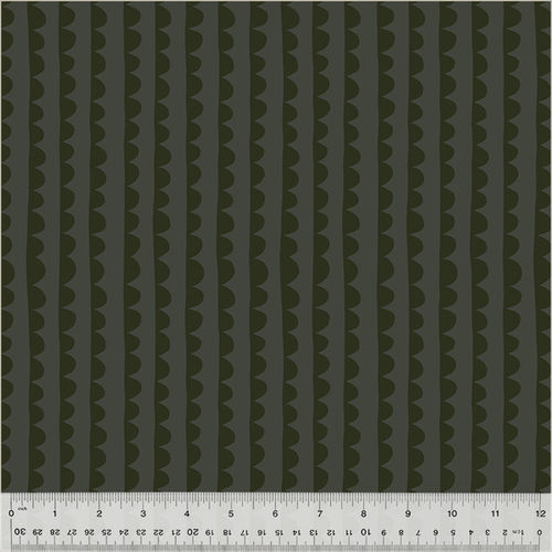 Scallop - Asphalt