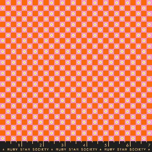 Goldfish - Orange