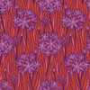 Agapantha - Warm