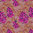 Jacaranda - Warm