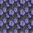 Jacaranda - Cool