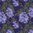 Jacaranda - Cool