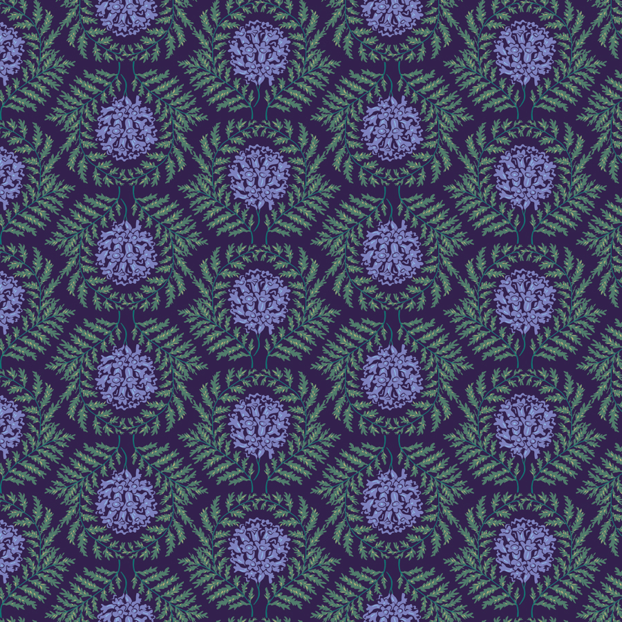 Mini Jacaranda - Cool