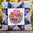 Wandering Eye Stitchery Cushion - kit