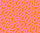 Orange Zest