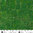 Forest Green - Green