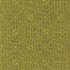 Avocado - Green