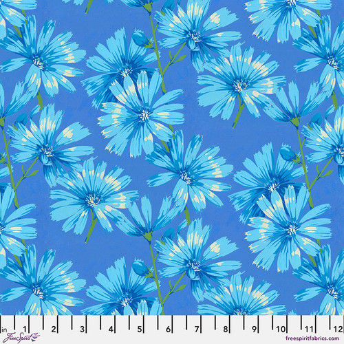 Chicory - Blue