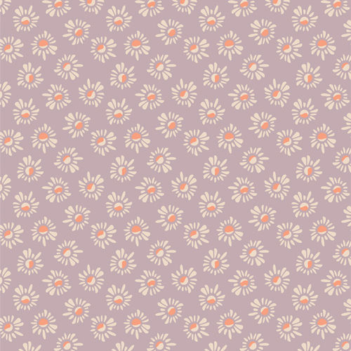 Susans - Lilac