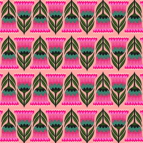Celosia - Punch