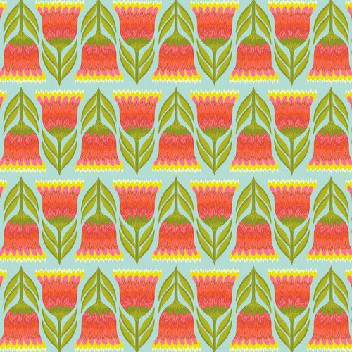 Celosia - Lime