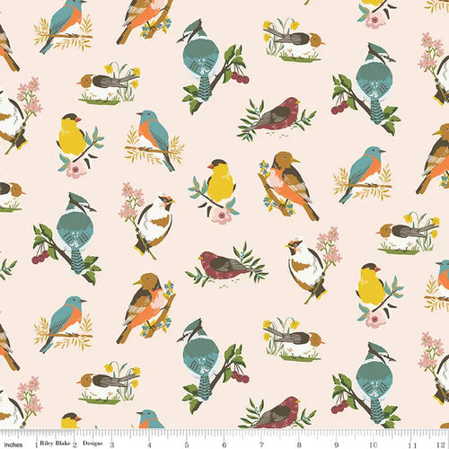 Birds - Latte