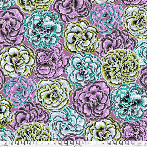 Picotee Carnations - Contrast