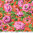 Rosemary - Red