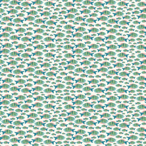 Shoal of Fishes - Reef
