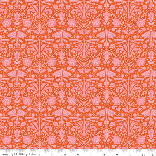 Field Study - Orange