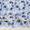 Country Floral in Blue