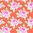Hello Roses - Coral