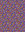 Floral Burst - Dark Purple