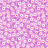 Wild daisy - Pinky purple